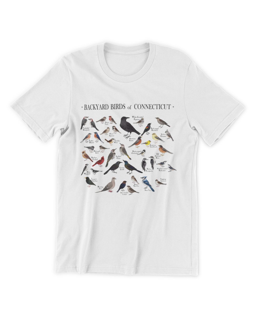 Backyard Birds of Connecticut