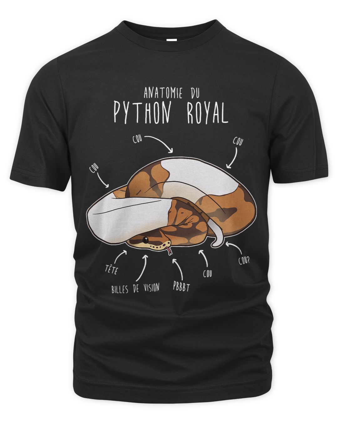 Anatomie Du Python Royal Français Piebald Ball Python Snake WAKAZON