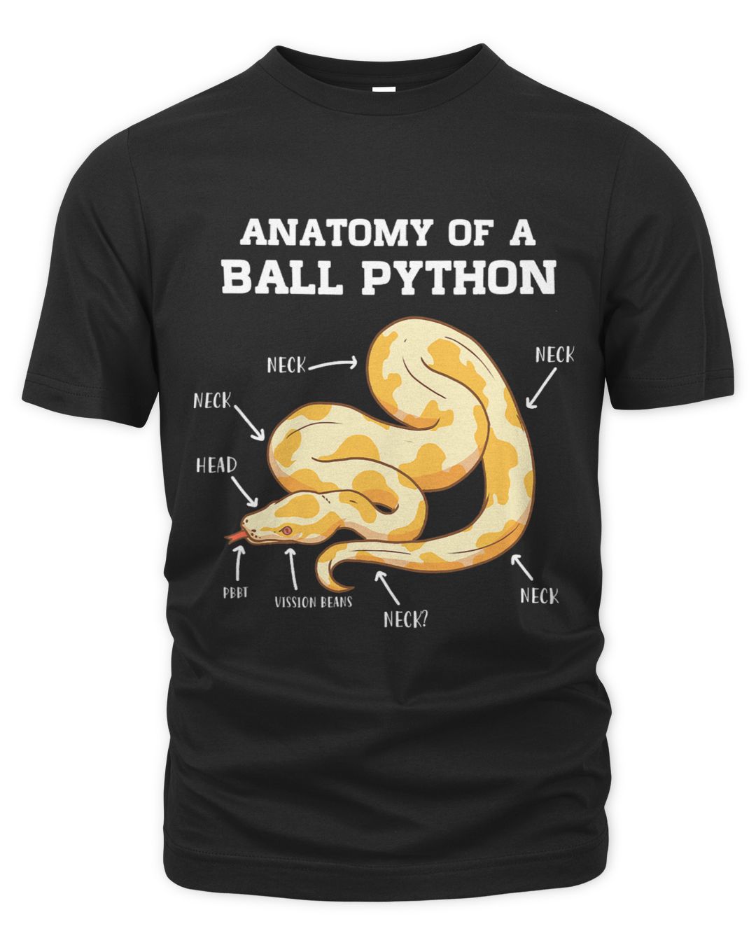 Anatomy Of A Ball Python Reptile Snake Owner | SenPrints