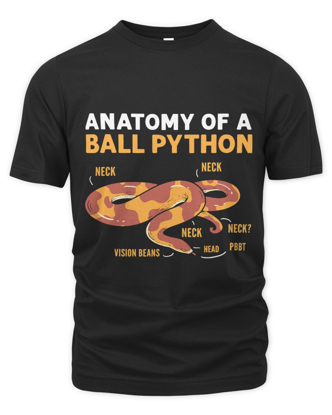 Anatomy Of A Ball Python. Banana Ball Python | SenPrints