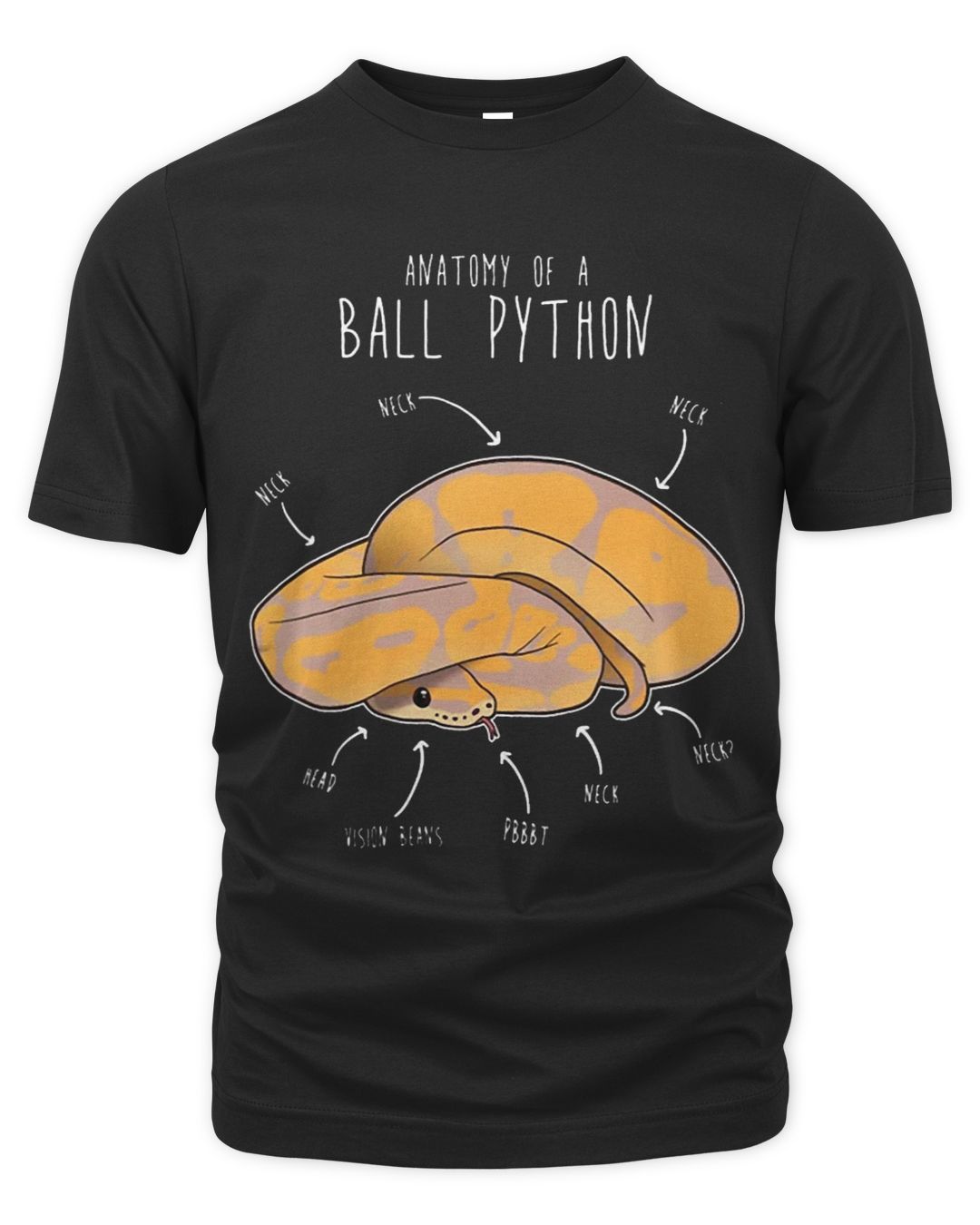 Anatomy of a Banana Ball Python | gokata