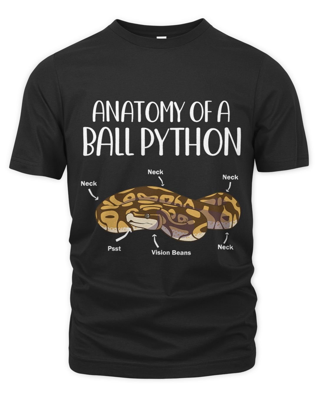 Anatomy Of A Python