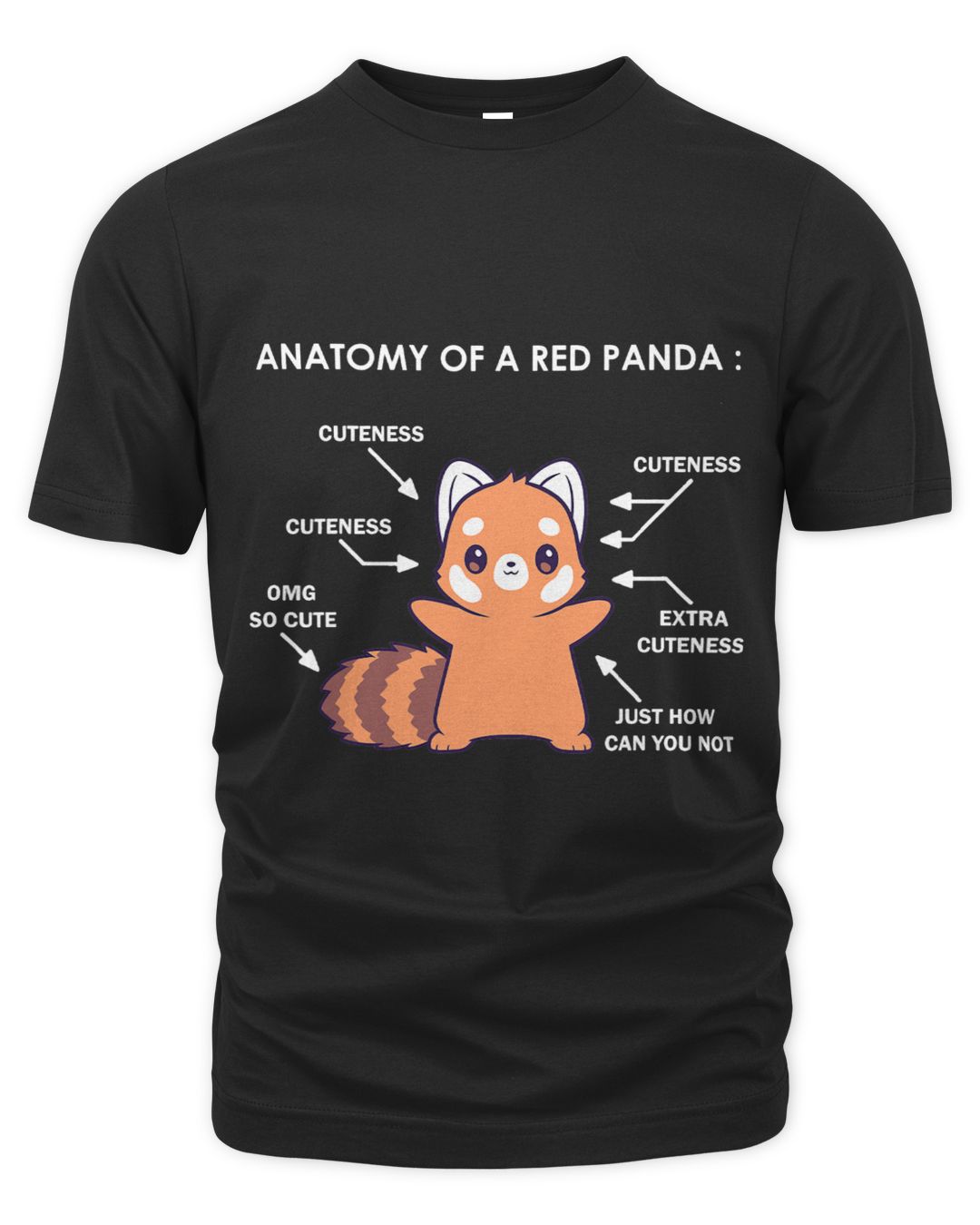 Anatomy of a Red Panda Science Zoologist Red Panda Anatomy | SenPrints