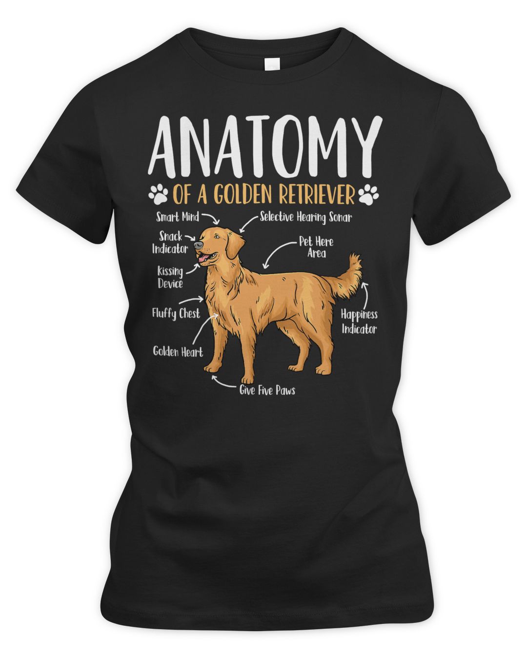 golden-retriever-goldie-dog-anatomy-5-retrievers-humazons