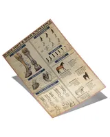 home decor poster horse foot and hoof knowledge poster ideal gift