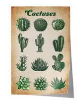 Collection Desert Plants Cactus  Succulent Prickly Spine Cactus Exotic Nature