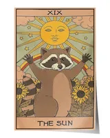 Raccoon Poster- The Sun