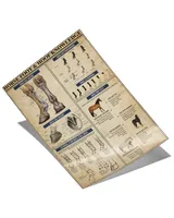 home decor poster horse foot and hoof knowledge poster ideal gift