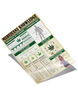 Marijuana Knowledge Poster, Hippie Chemistry Poster