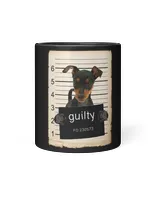 Dog Doberman Miniature Doberman pinscher Dog mug shot bad dog