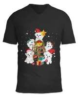 Unisex Jersey SS V-Neck T-Shirt