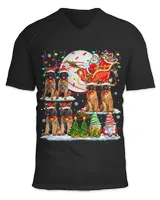 Santa Sleigh Reindeer Leonbergers Xmas Costume Family Kids 3