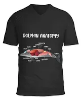 Anatomy Of A Dolphin Anatomical Doctor Veterinarian Medical