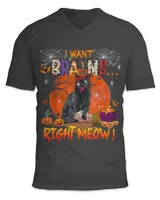 I Want Brains Meow Right Now Funny Pumpkin Zombies Cat 214