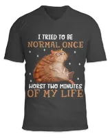 I Tried To Be Normal Once Worst Two Minutes Of My Life Cat 299