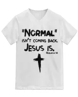 Unisex Jersey SS V-Neck T-Shirt