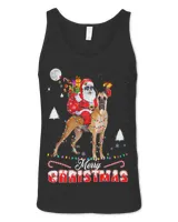 Merry Christmas Santa Riding Great Dane Kids Boys Xmas Pjs 338