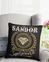 Canvas Pillow (Dual Sided)