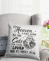 Heaven a place where all the cats
