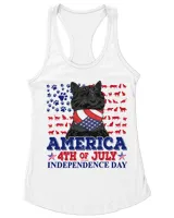 Cat - America 4th of July Independence