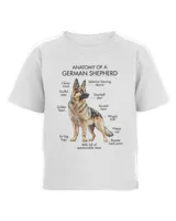 Anatomy Of A German Shepherd