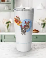 Viking Tumbler (20oz)