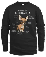 Anatomy Of A Chihuahua