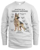 Anatomy Of A German Shepherd