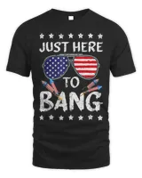Funny 4th Of July Im Just Here To Bang USA Flag Sunglasses 5