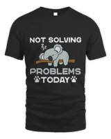 Funny Not Solving Problems Today Sleeping Koala