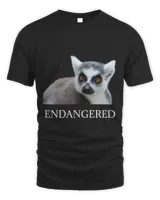 Endangered Animal Species Ringtailed Lemur Endangered Lemur