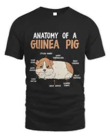 Anatomy of a guinea pig Rodent Guinea Pig