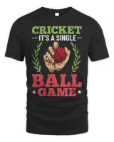 Cricket Fan Batsman Cricket Lover Cricket Player Cricket Sports