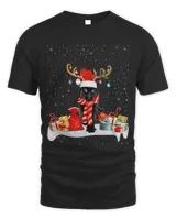 Funny Xmas Lighting Reindeer Santa Hat Panther Christmas