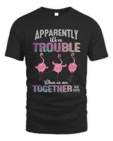 Apparently We're Trouble When We Are Together Who Knew T-Shirt