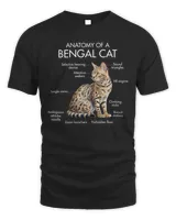 Anatomy Of A Bengal Cat