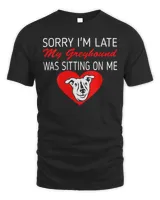 Womens Sorry Late Greyhound Sitting On Me Gift V-Neck T-Shirt