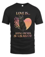 Cat Kitty Love Is Being Owned By A Black Cat Black Cat