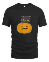 Black Cat sitting in a Pumpkin for Cat Lover Halloween T-Shirt