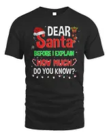 Christmas Dear Santa Before I Explain How Much Do You Know