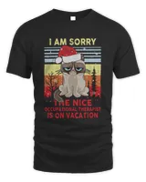 Cat Santa I Am Sorry The Nice Occupational Therapist Is On Vacation Vintage Shirt