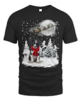 Border Collie On Snow Christmas Moon Lighting Santa Hat7