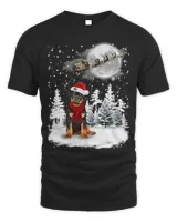 Rottweiler On Snow Christmas Moon Lighting Santa Hat8