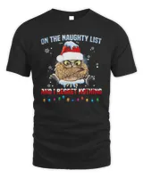Official Owl On The Naughty List And I Regret Nothing Merry Christmas Shirt