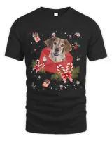 Brittany Dog In Christmas Card Ornament Pajama Xmas445