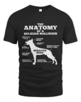 The Anatomy Of A Belgian Malinois Dog lover 238
