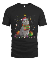 Grey Cat Santa Funny Christmas Tree Lights Xmas Pajama Boys 41