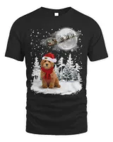 Goldendoodle On Snow Christmas Moon Lighting Santa Hat10