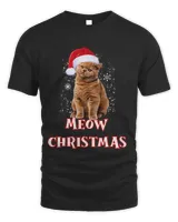 Funny cat Christmas 183