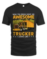 Now you know what an awesome Trucker looks like